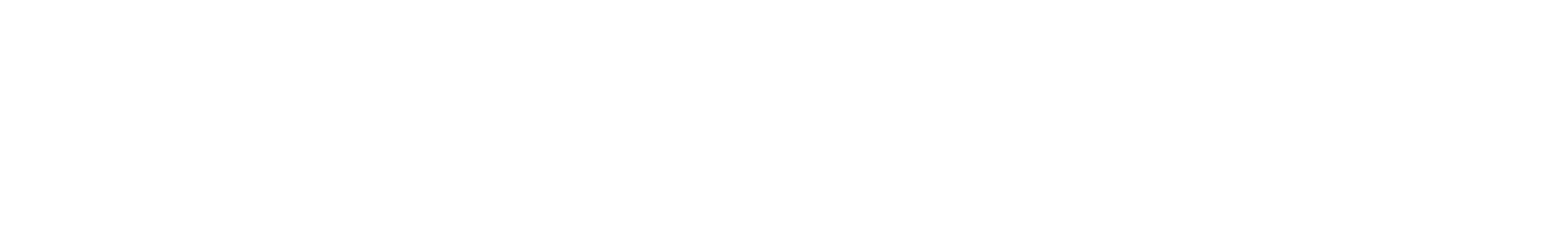 AnonPaste Logo